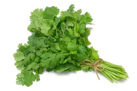 Cilantro Por Atado Sin Marca Una Unidad