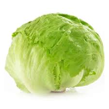 Lechuga